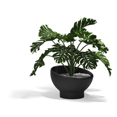 Luna Planter