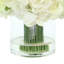 Hydrangeas Arranged in Glass Vase