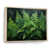 Natural Floater Framed