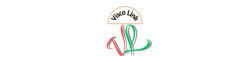 Visco Link logo