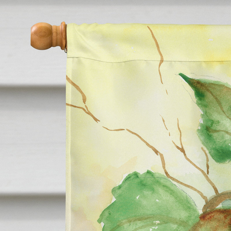 Feldspar Double Sided Polyester Garden Flag, 40" H x 28" W