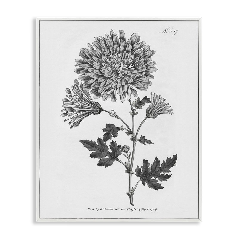 Art rétro de la giclée des bois, design par Kelly Donovan, H 14 po x l 11 po, Estampe numérique encadrée blanc bord de mer