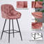 Adelmina Upholstered Counter Stool with Metal Frame-1781863643