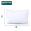 Waterproof Zippered Pillow Protector
