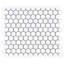 Eden 1" Rimmed Hexagon Polished Porcelain Mosaic Tile-1625102284