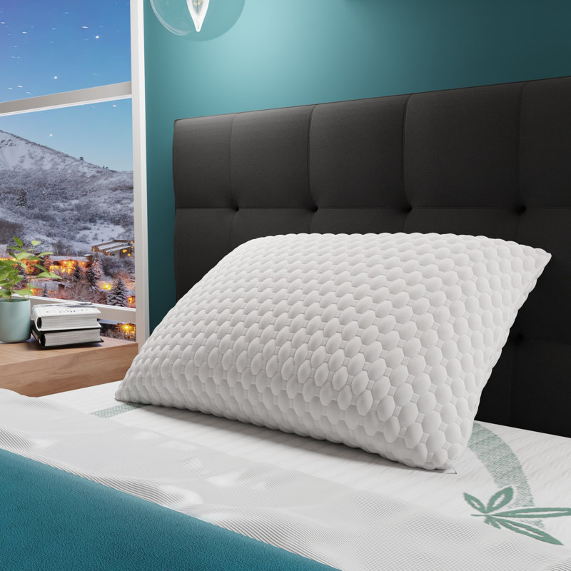 Oreiller ajustable en mousse viscoélastique infusée Zencloud, Très grand
