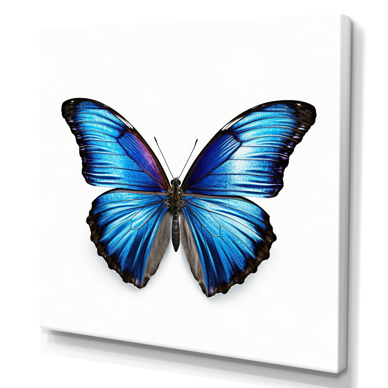 Papillon bleu vibrant I, Toile tendue, H 24 po x l 32 po x P 1 po