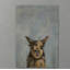 «Naughty Llama», reproduction sur toile tendue-27175457