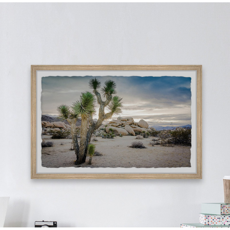 Lone Joshua Tree - Single Picture Frame Print, 20cm H x 30cm W x 3.81cm D