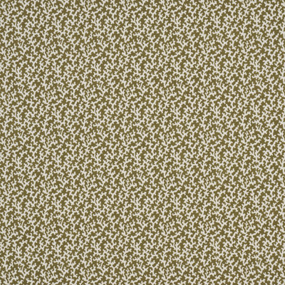 Schumacher X Veere Grenney Folly Fabric