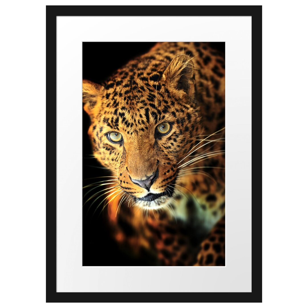 Anmutiger Leopard Gerahmter Kunstdruck Poster