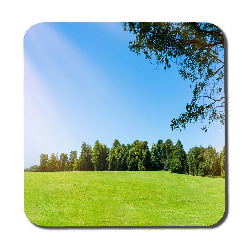 Duhl Square 6 Piece Coaster Set