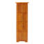 Armoire décorative, armoire de rangement d'angle avec tablettes