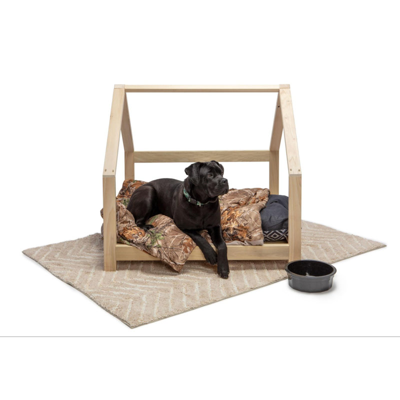 Palais pour animaux Harper Orchard Broadstairs, Grand (l 80 po x P 10 po x H 8 po)
