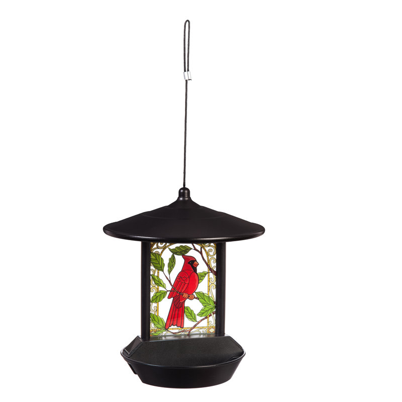 Mangeoire solaire solaire pour oiseaux Cardinal