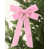 pink is out of stock selected