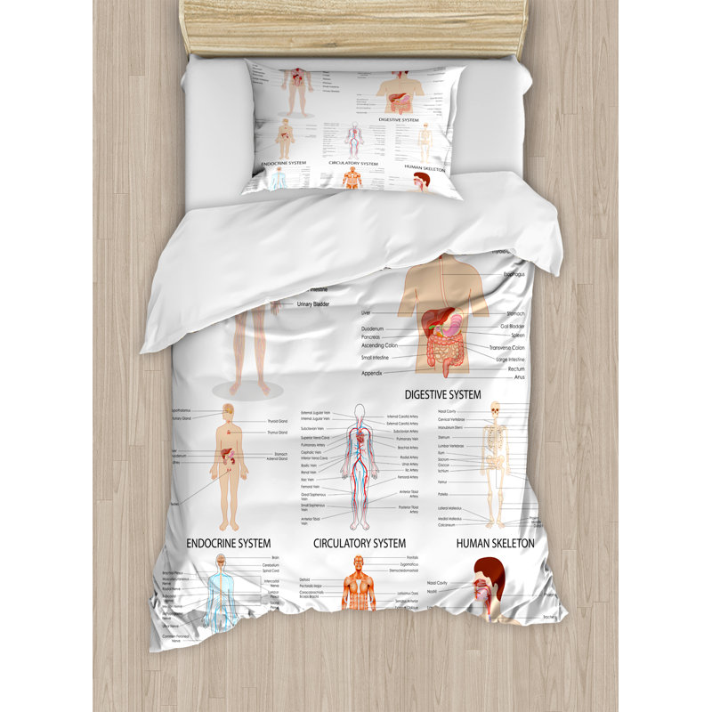 Modern & Contemporary Duvet Cover, Twin Duvet Cover + 1 Standard Sham