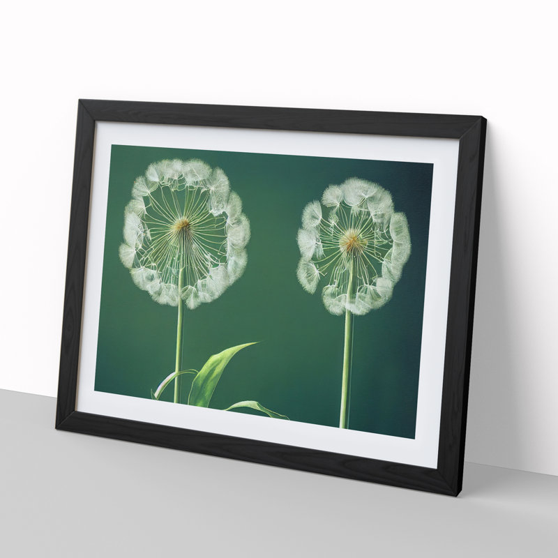 Inspiring Dandelion Flowers - Single Picture Frame Print, 46cm H x 64cm W x 2cm D, Black