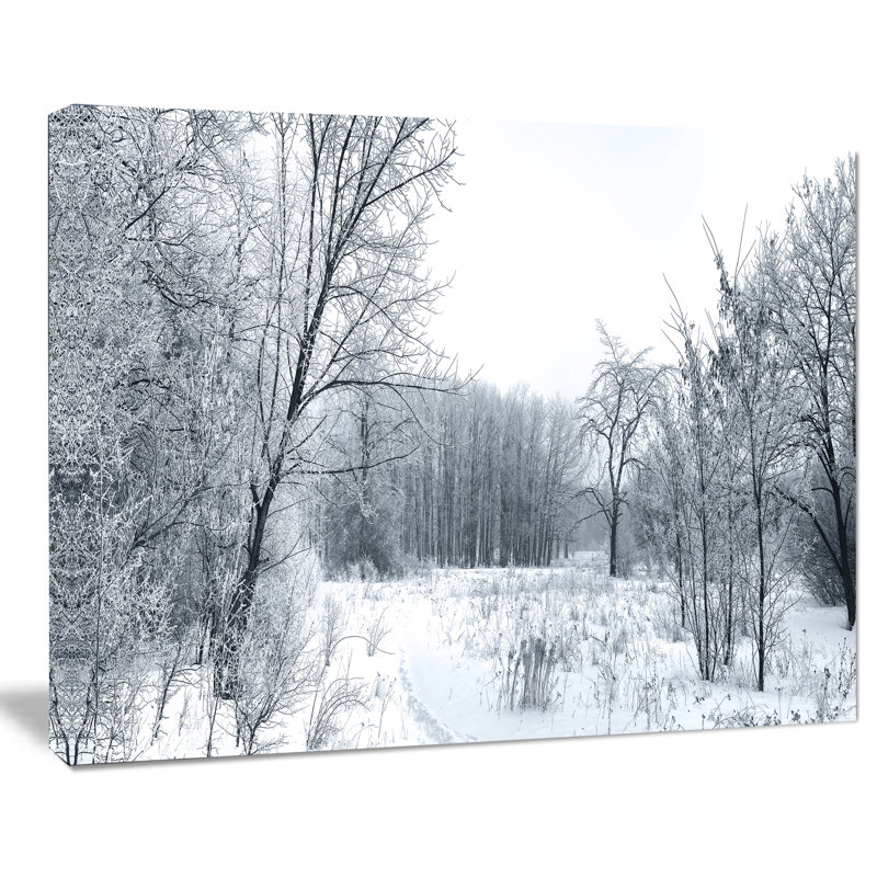 « belle hiver panorama », impression sur toile tendue, H 20 po x l 20 po x P 1 po