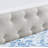 Upholstered Tufted Daybed | Velvet Button - Tufted Copper Nail - Trimmed Waved Arms & Drawers-1166931860-1166931863