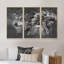 Loup et chef indien indien - ensemble de 3 reproductions d'art encadrées sur toile-87252671-87245123