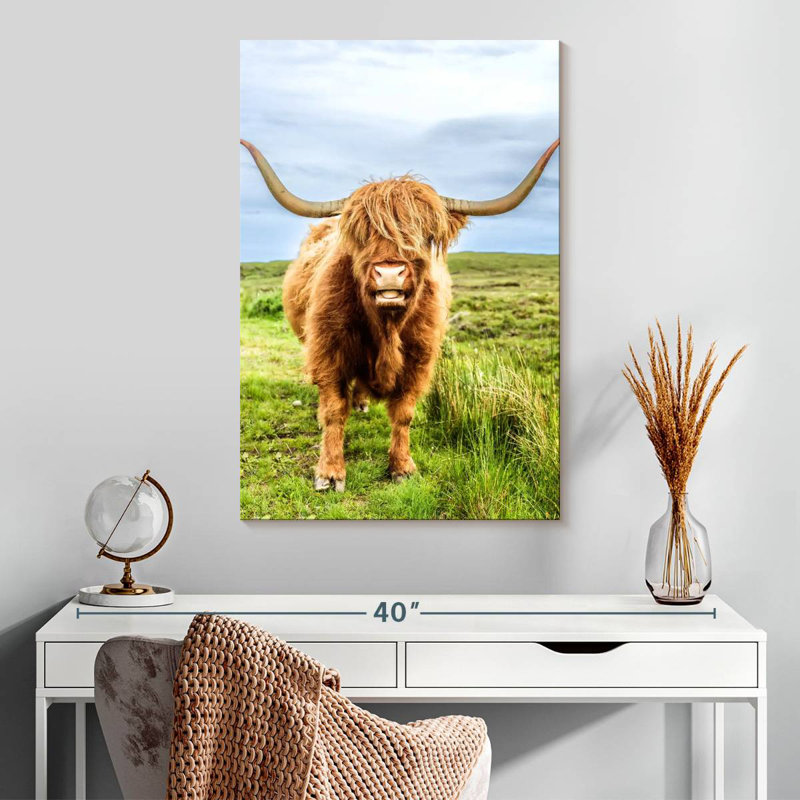 «Fluffy Baby Highland Cow», Écosse, H 30 po x l 20 po