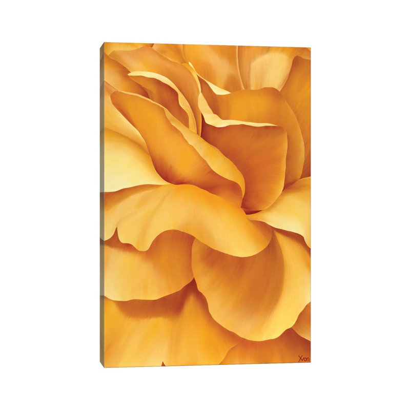 Magnificent Flower I by Yvonne Poelstra-Holzhaus - Wrapped Canvas Print, 66.04 cm H x 45.72 cm W