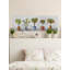 « photo lot de plantes »-impression sur toile tendue-1013453253