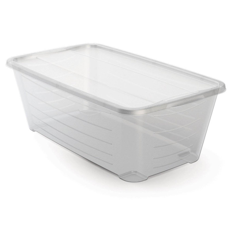Life Storey 5.7L Shoe and Closet Storage Box Stacking Containers, Clear, 4
