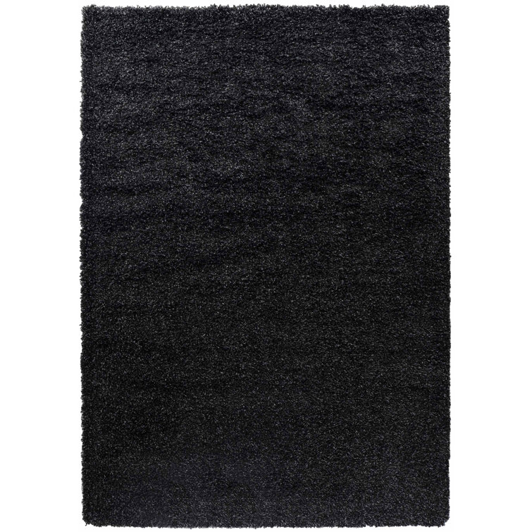 Esterly Solid Colour Shag Area Rug