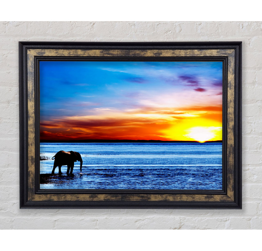 Gerahmtes Bild Elephant Ocean