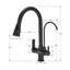 Belfry Kitchen Kitchen Faucet-119899049