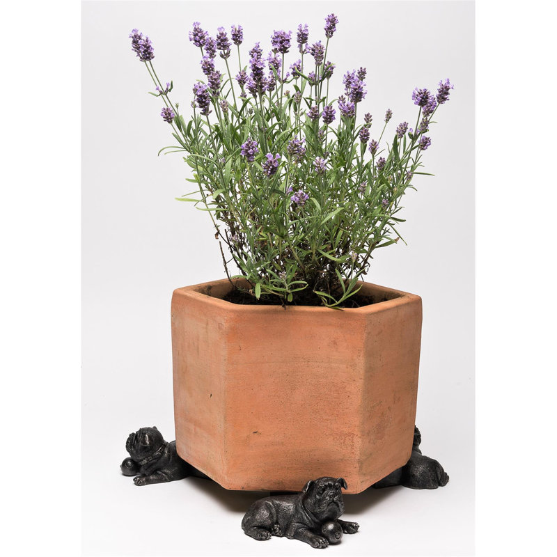 Shavon Metal Planter Feet