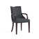 Elianys 18.5'' H Upholstered Beech Armchair