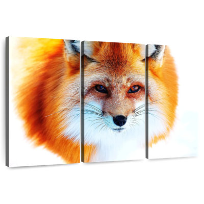 Visage de renard roux Brampt