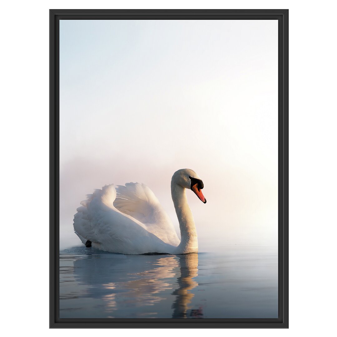 Gerahmtes Wandbild traumhafter Schwan auf See