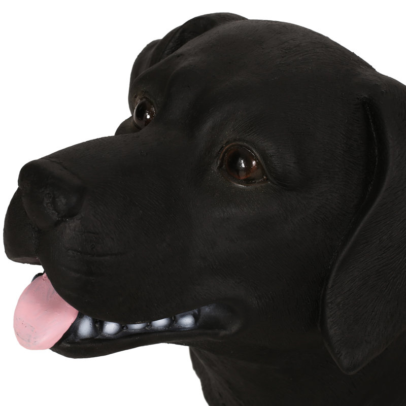 Siège pour chien Delightful