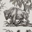 Western Toile Paper Wallpaper Roll-1575876697