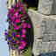 Customer photo 4 of 6