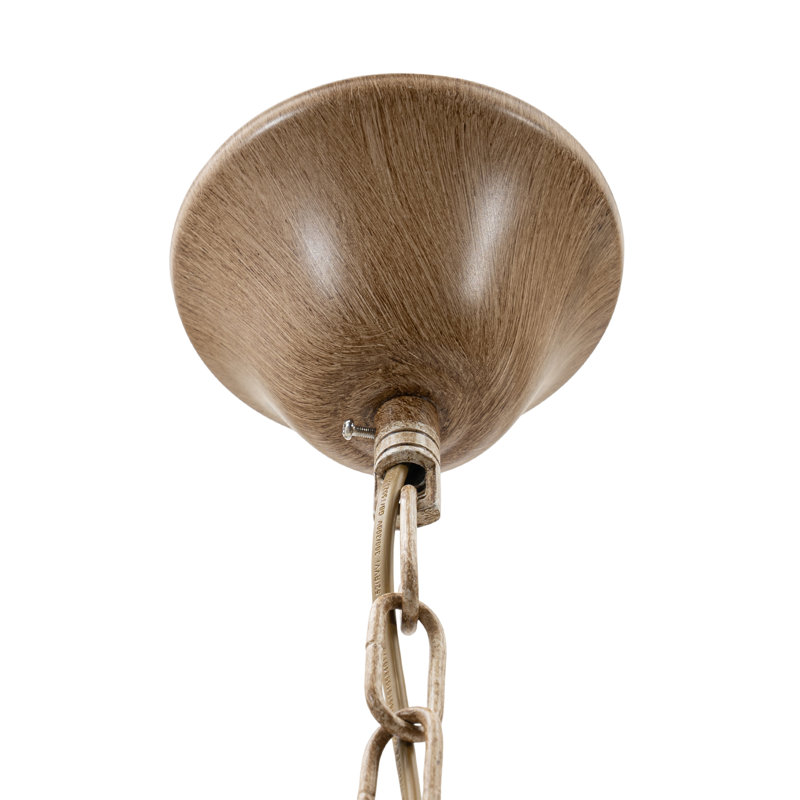Escher Retro Antler Resin Chandelier Countryside Pendant Light