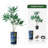 66'' Faux Dracaena Tree in Planter-97701027