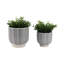 Ensemble de 2 pots décoratifs modernes Aedin-70575884