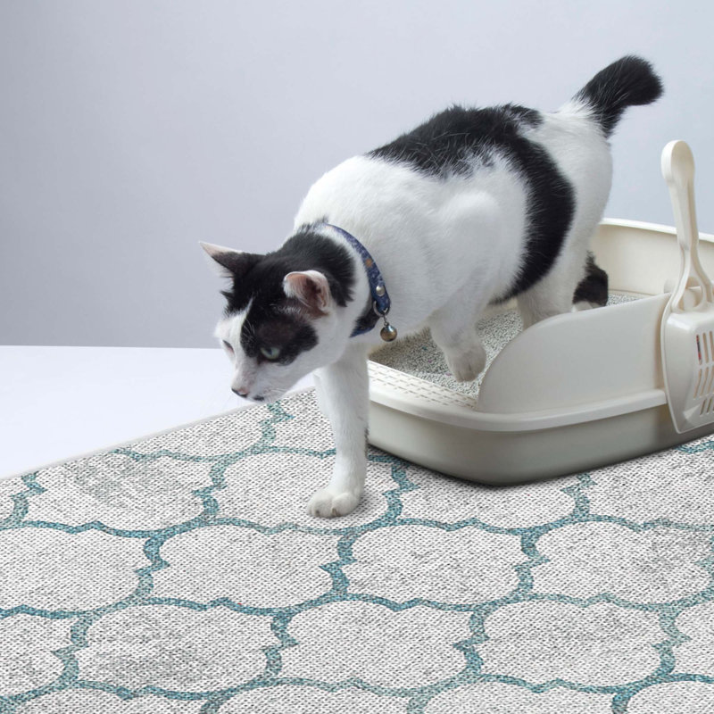 Litter Mat, 0.25" H x 31.5" W x 20" D, Light Teal