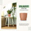 Pots à plantes d'intérieur avec drainage-1952380653