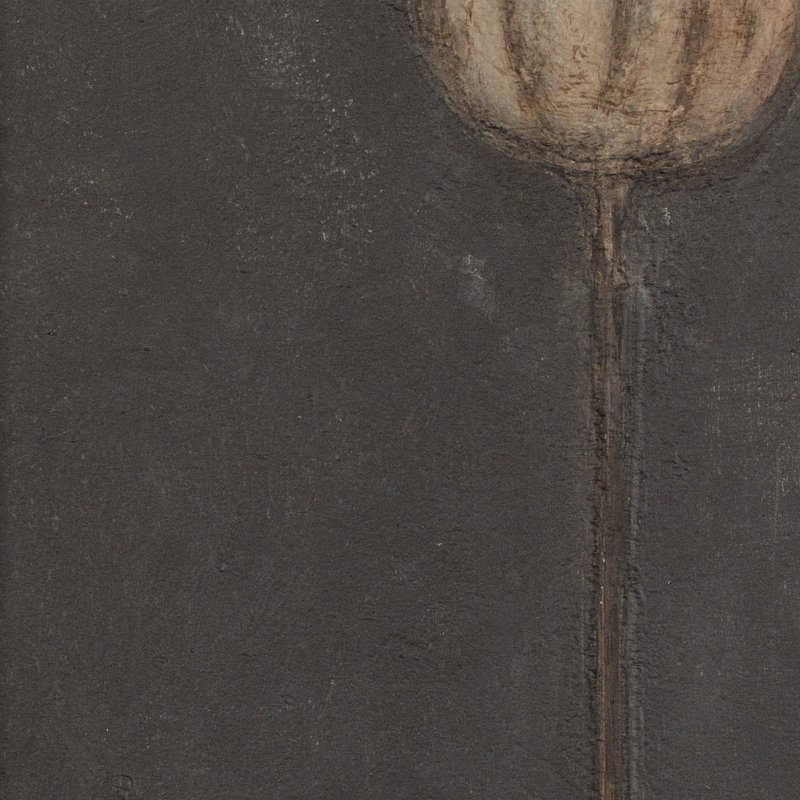 Poppy Noche Painting by Paul Meyer, 24" H x 18" W