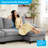 Rachual 2 - Piece Upholstered Sectional-574148643