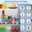 Denetia Food Storage Container