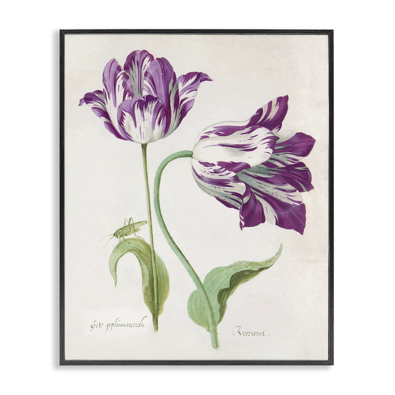 Deux tulipes à fleurs mauves, estampe numérique, design par Jacob Marell, H 20 po x l 16 po, Giclée encadrée noir minuit