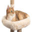 145cm H Cat Tree
