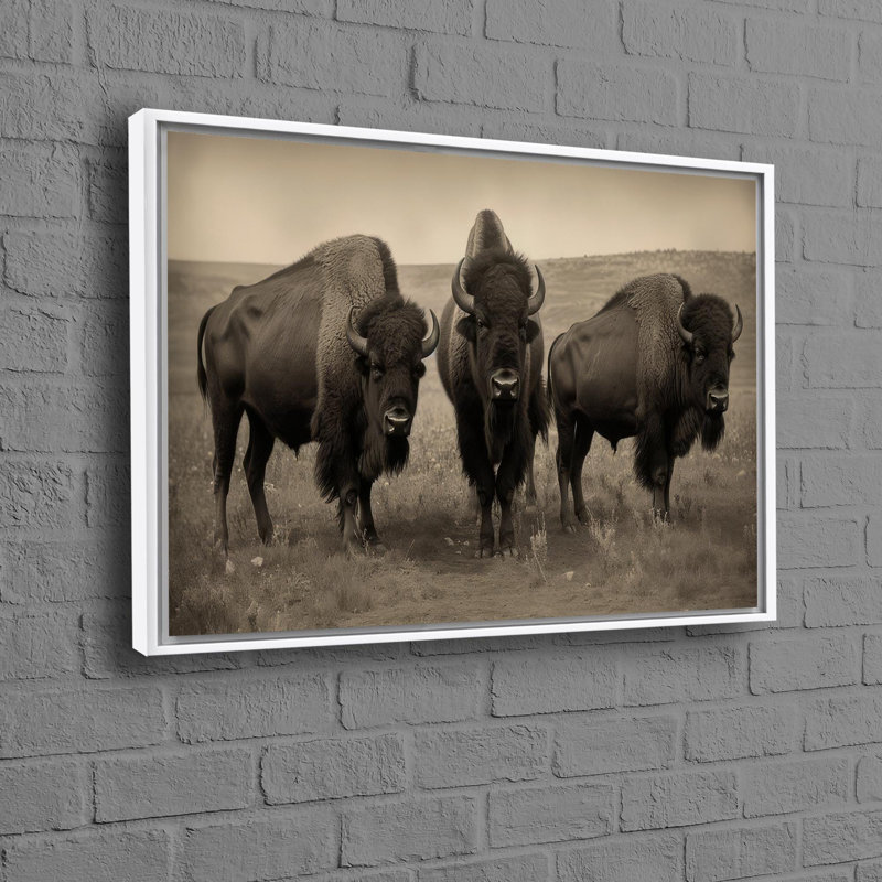Print on Canvas, 60 cm H x 90 cm W, Framed Print without Mat, White